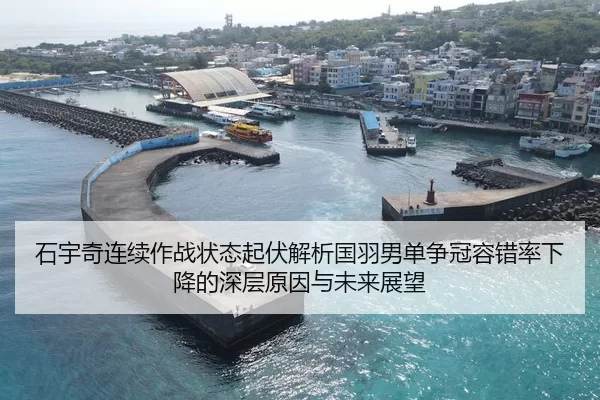 石宇奇连续作战状态起伏解析国羽男单争冠容错率下降的深层原因与未来展望