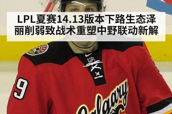 LPL夏赛14.13版本下路生态泽丽削弱致战术重塑中野联动新解